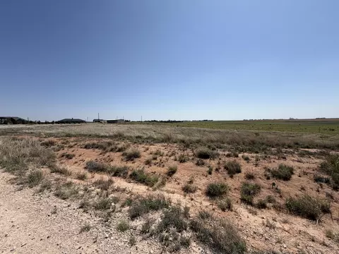 3955 Koby St, Ropesville, TX 79358 photo 6