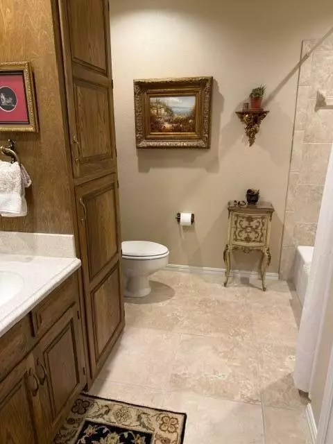 Bath - 203 N Navasota Dr, Plainview, TX 79072 photo 5 of 5