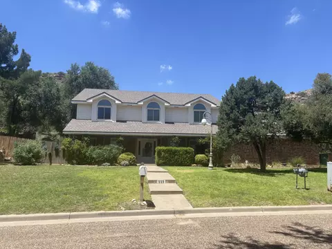 111 S Lake Shore Dr, Ransom Canyon, TX 79366