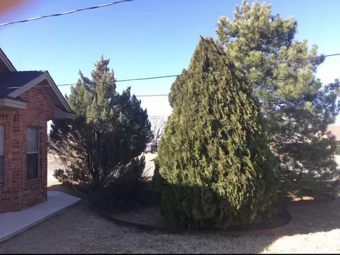 Exterior - 101 SE 6th St, Plainview, TX 79072 photo 6 of 7