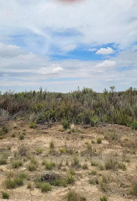 lot5 Douglas Farms Tanner, Brownfield, TX 79316