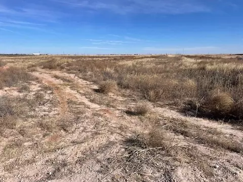 10 Lovebird Rd, Smyer, TX 79367