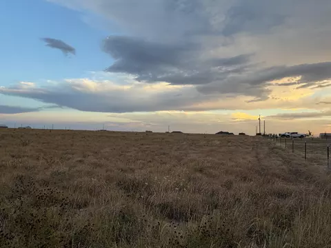 1183 Aspen Rd, Wilson, TX 79381
