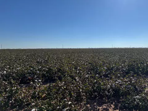 740 Sun Rd, Plainview, TX 79072 photo 9