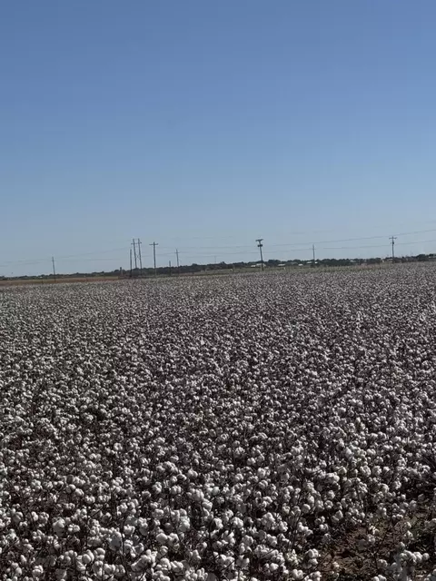 740 Sun Rd, Plainview, TX 79072 photo 14