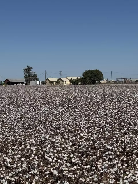 740 Sun Rd, Plainview, TX 79072 photo 3