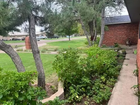 Exterior - 1213 Dallas St, Plainview, TX 79072 photo 9 of 17