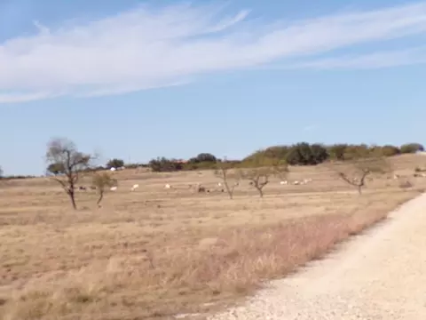 1428 County Rd 312, Eldorado, TX 76936 photo 3