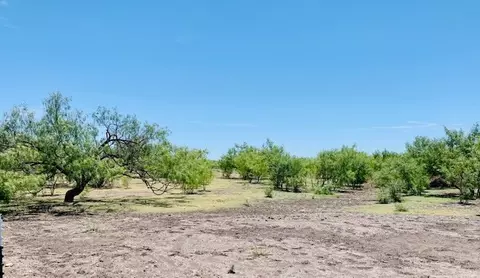 3191 County Rd 300, Eldorado, TX 76936 photo 17