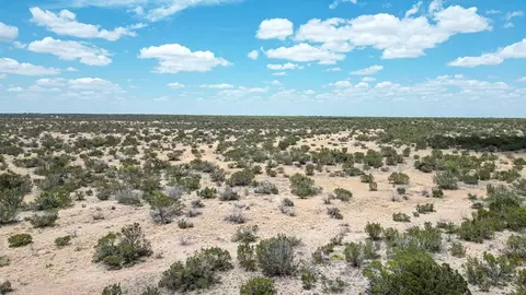 2330 County Rd 119, Eldorado, TX 76936 photo 7