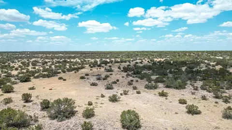 2330 County Rd 119, Eldorado, TX 76936 photo 8