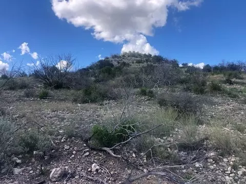 0 Deer Run Rd, Ozona, TX 76943