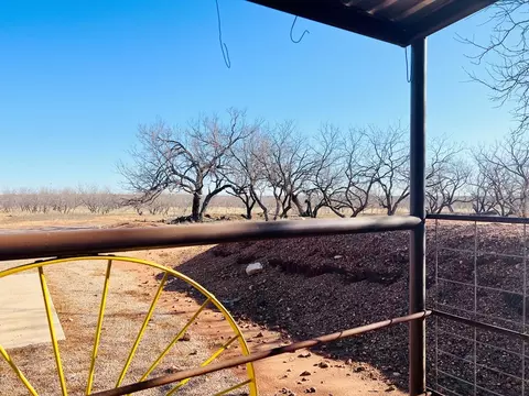 2574 County Rd 214, Bronte, TX 76933 photo 13