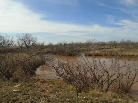 2574 County Rd 214, Bronte, TX 76933 photo 47