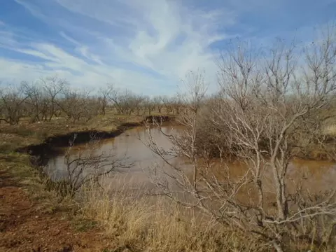 2574 County Rd 214, Bronte, TX 76933 photo 50