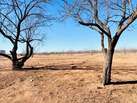 2574 County Rd 214, Bronte, TX 76933 photo 39