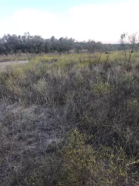9187 N Hwy 87, San Angelo, TX 76901