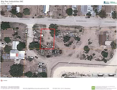 412 E Fleming St, Mertzon, TX 76941