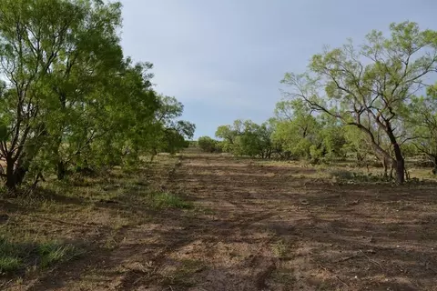 tbd N Fm 1692, Miles, TX 76861