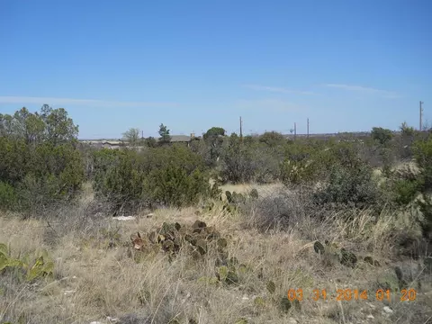 614 W Juanita Ave, Mertzon, TX 76941