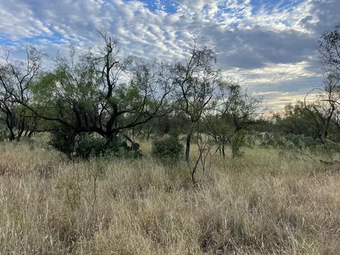 Undisclosed, Big Spring, TX 79720 photo 4