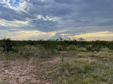Undisclosed, Big Spring, TX 79720 photo 2