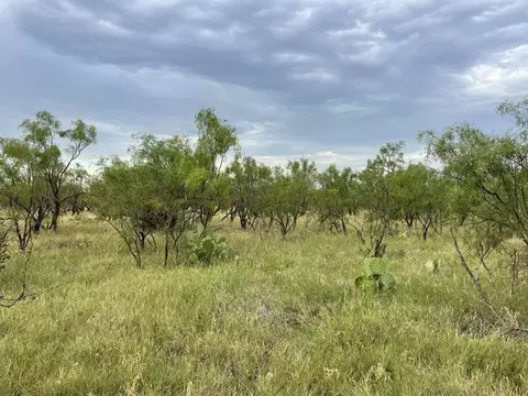 Undisclosed, Big Spring, TX 79720 photo 7