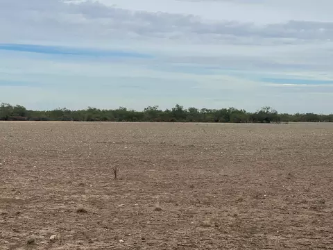 900 County Rd 110, Eldorado, TX 76936 photo 7