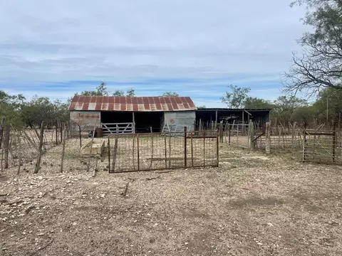 900 County Rd 110, Eldorado, TX 76936 photo 8