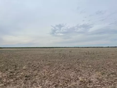 900 County Rd 110, Eldorado, TX 76936 photo 5