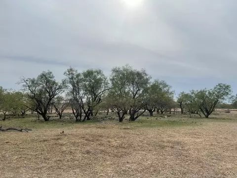 900 County Rd 110, Eldorado, TX 76936 photo 3