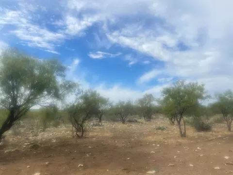 0000 County Rd 110, Eldorado, TX 76936 photo 3