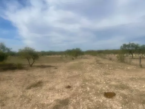 0000 County Rd 110, Eldorado, TX 76936 photo 8