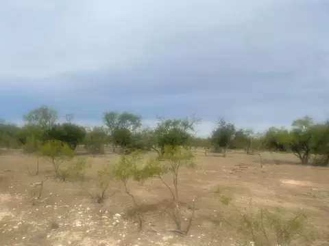 0000 County Rd 110, Eldorado, TX 76936 photo 5