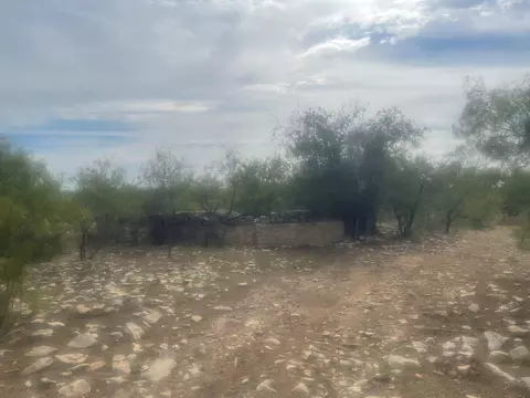 0000 County Rd 110, Eldorado, TX 76936 photo 4