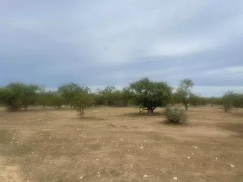 0000 County Rd 110, Eldorado, TX 76936 photo 2