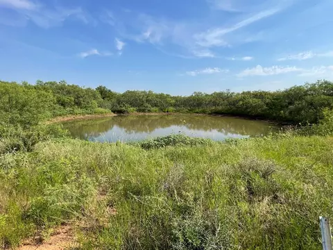 tbd Pruitt Dr, Bronte, TX 76933