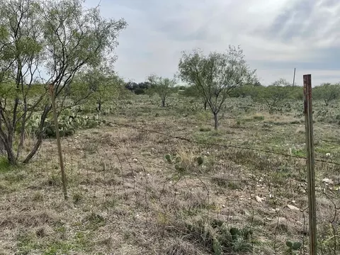 298 County Rd 414, Eldorado, TX 76936