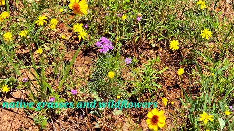 0 Other, Bronte, TX 76933 photo 6