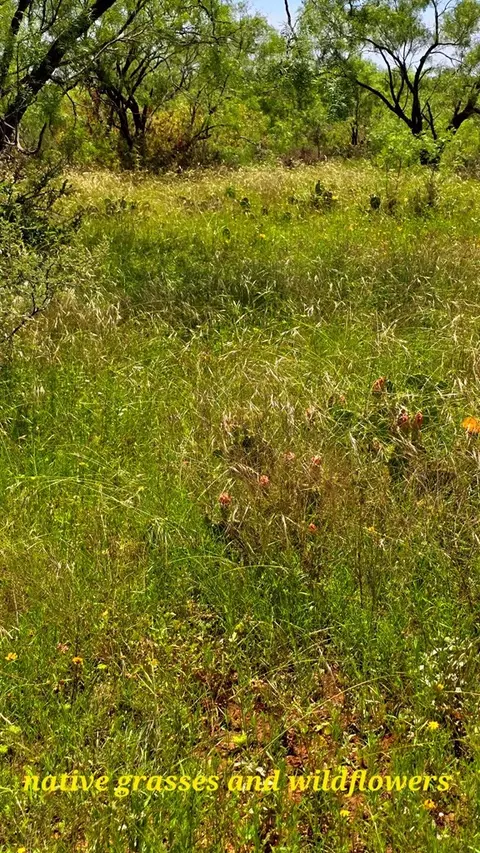 0 Other, Bronte, TX 76933 photo 7