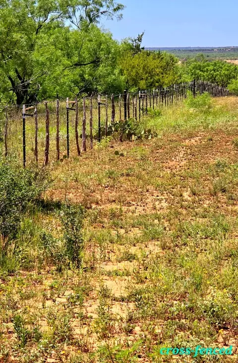 0 Other, Bronte, TX 76933 photo 9