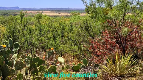 0 Other, Bronte, TX 76933 photo 2