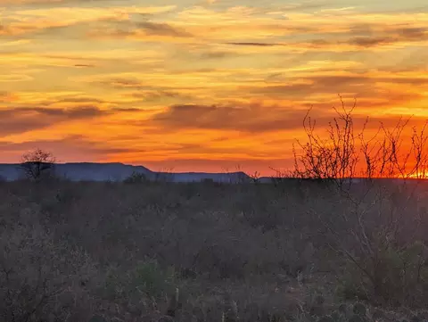 0 Other, Bronte, TX 76933 photo 18