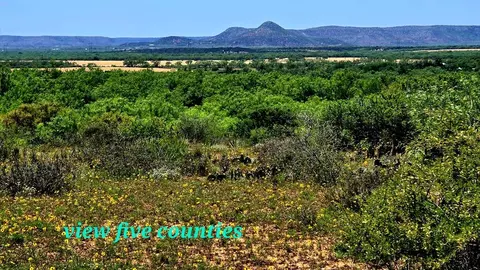 0 Other, Bronte, TX 76933