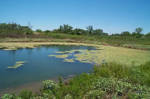 317 County Rd 212, Bronte, TX 76933