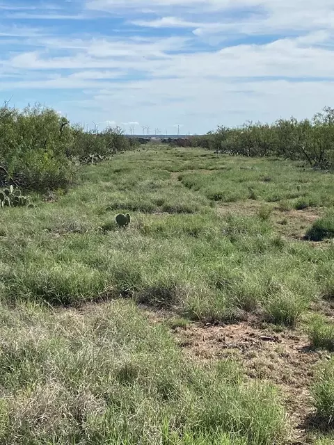 00000 Other, Big Spring, TX 79720