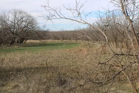 0 County Rd 273, Norton, TX 76865