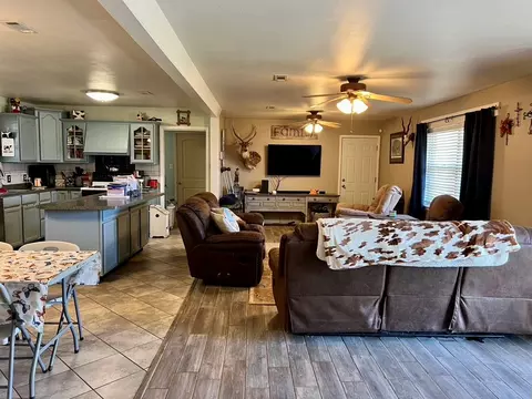 402 S Washington St, Bronte, TX 76933 photo 6