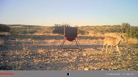 0 Poverty Canyon Rd, Bronte, TX 76933 photo 37