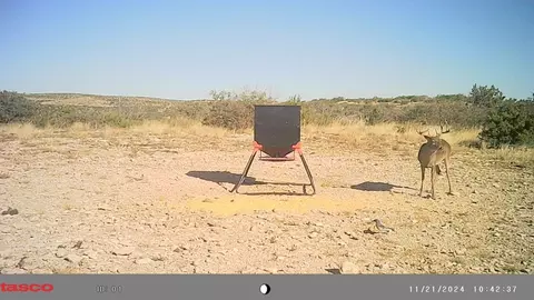 0 Poverty Canyon Rd, Bronte, TX 76933 photo 39
